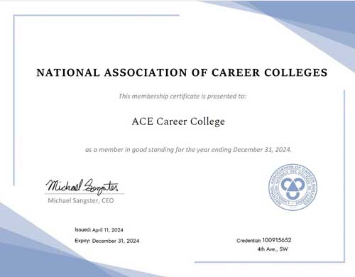ACE Career College